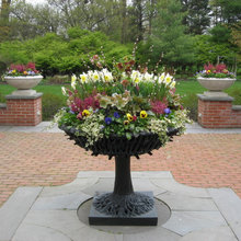 Gardening Ideas