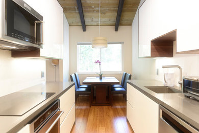 Example of a minimalist kitchen design in San Francisco