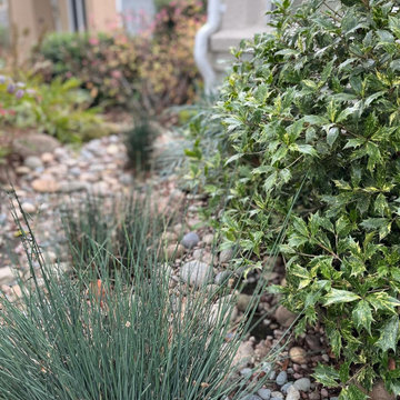 Sustainable Garden