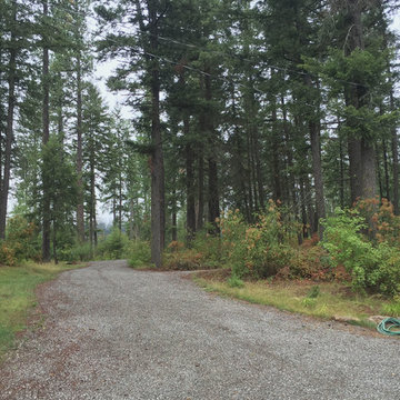 Spirit Lake Cabin