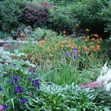 Rain Gardens