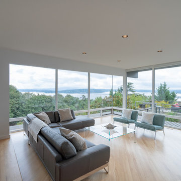 Leschi Mid-Century Remodel