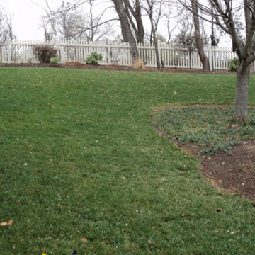 Lawn Maintenance