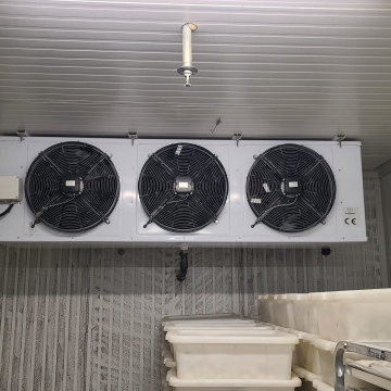 My Project