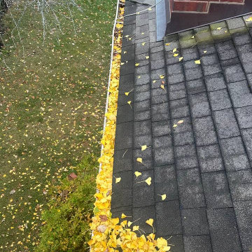 Gutter Cleaning