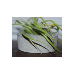 Handmade Concrete Planters - Outdoor Products