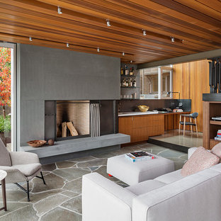 75 Beautiful Modern Slate Floor Living Room Pictures Ideas Houzz