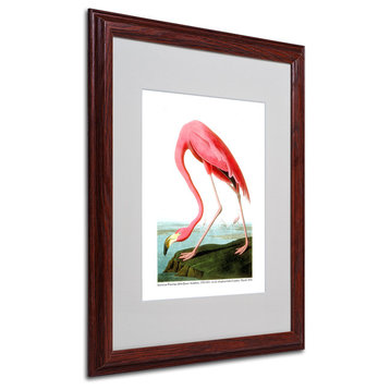 'American Flamingo' Matted Framed Canvas Art by John James Audubon