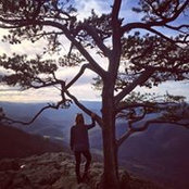 Stephanie Branch's photo