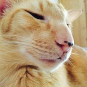 Leyla Elien's photo