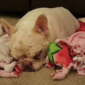 Brie Keydeniers's photo