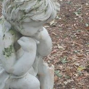 Judy Emerson's photo
