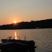 Teresa Ardron's photo