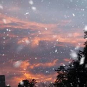 Andrea OConnell's photo