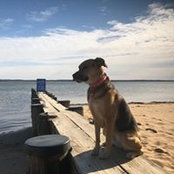 Julie Bebber's photo