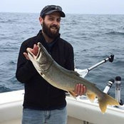 Alex Albright's photo