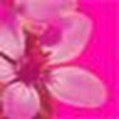 Emlyn Minor's photo
