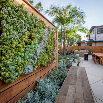 Del Mar 5 - Backyard Landscape Design - Living Green Wall