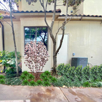 Landscape Designs