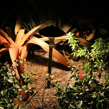 Landscape Lighting on the Beach