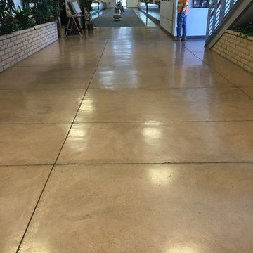 Photos