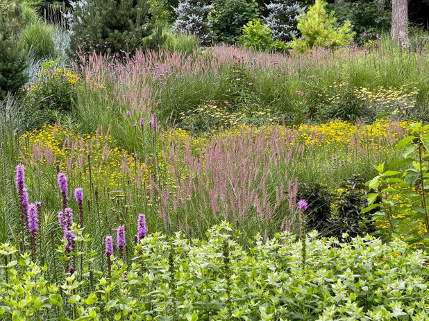 Tour 3 Marvelous Meadow Gardens and Learn About Their Plants