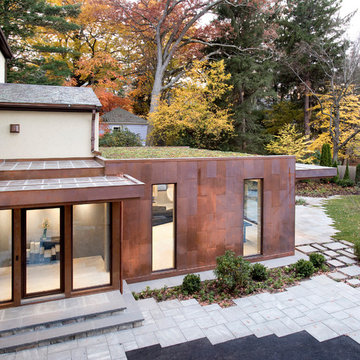 View of green roof