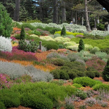 meadow gardens