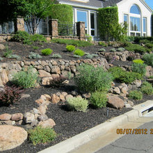 landscape ideas