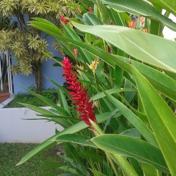Charming up a Caribbean-colonial front yard