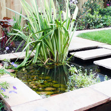 Vegetable garden