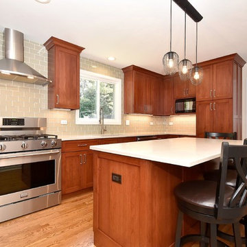 Northbrook Kitchen Remodel