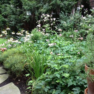 Landscape management, Squirrel Hill