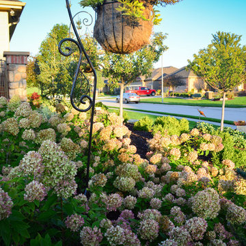 Corner lot Courtyard