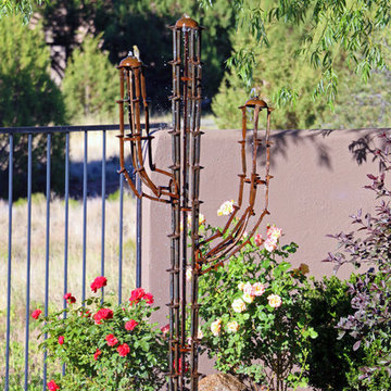 Arizona Backyard Oasis
