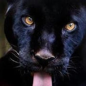 Foto von Winsome Jackson