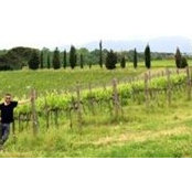Gianni Vanni's photo