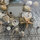Cape Cod Seashells