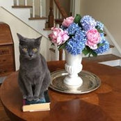 Barbara Nash's photo