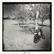 Foto von Harry Harris