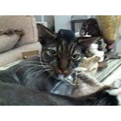 Chris Bussell's photo