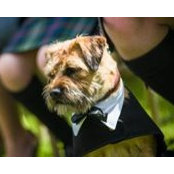 Polly Mackie's photo
