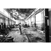 Nicholas Verzilli's photo