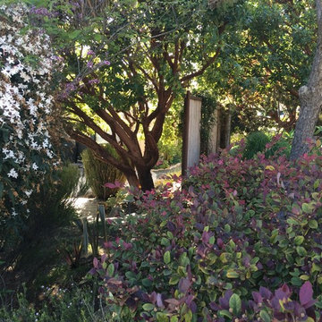 Pismo Beach Garden