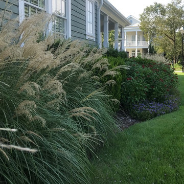 Beautiful Landscape Details in Landfall