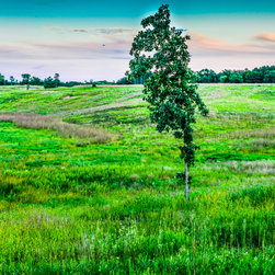 Belwin Conservancy - Photographs