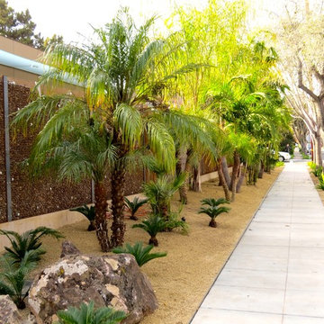 Palo Alto warm tropical modern landscape