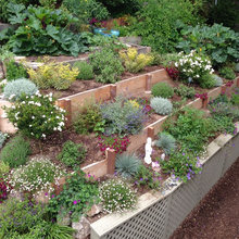 Retaining Wall