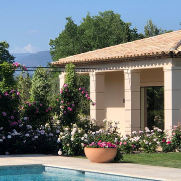 Jardin provençal crée en 2019