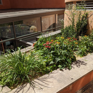 Jardin urbain